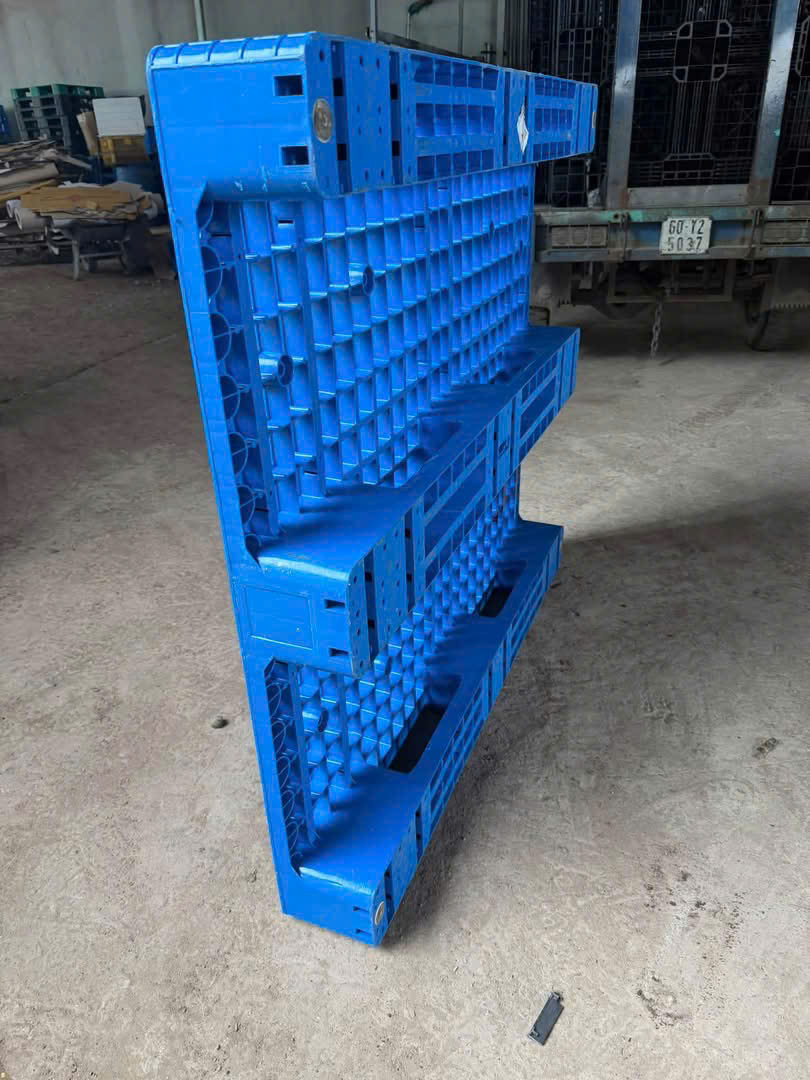 Pallet nhựa Phú Giáo