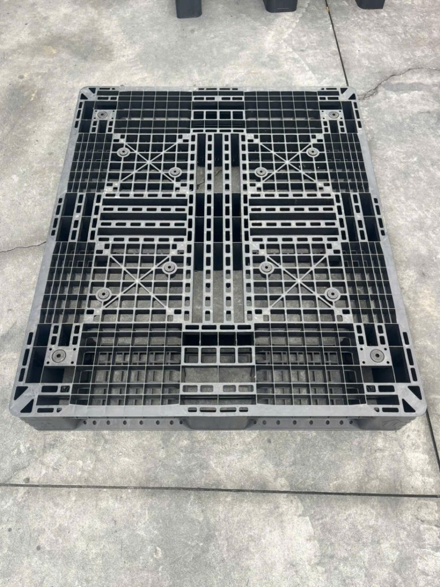 Pallet nhựa Thành phố mới