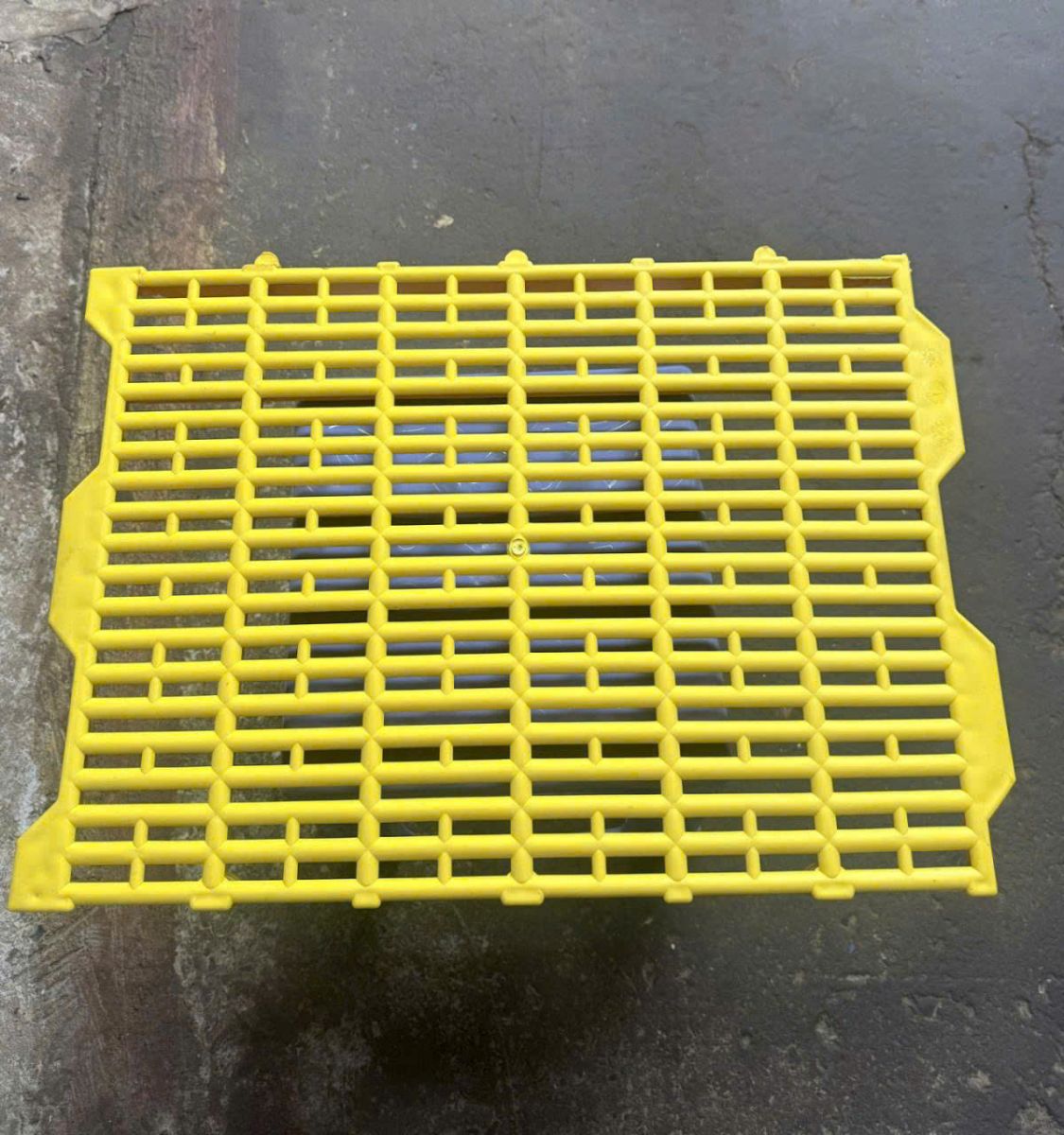 palletbaubang
