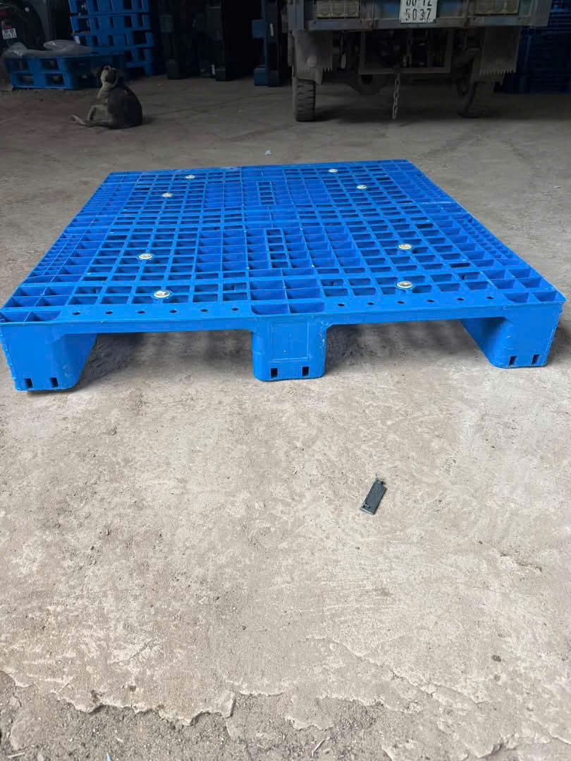 Pallet nhựa Phú Giáo