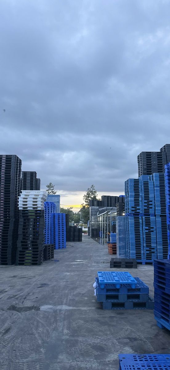 pallet nhựa quận 11
