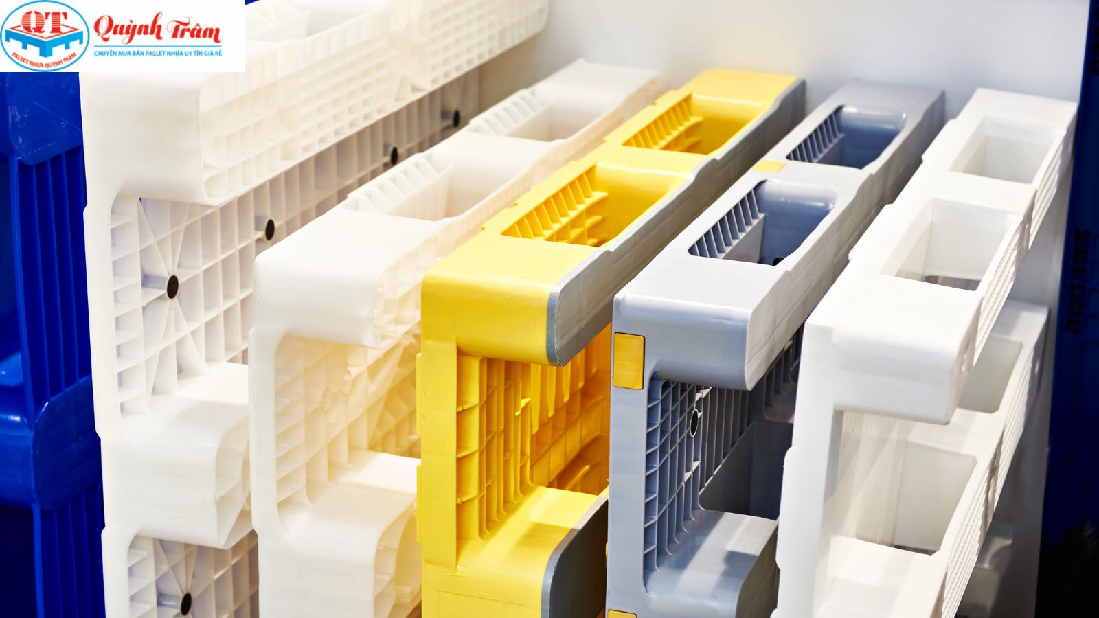 Vệ sinh sạch sẽ