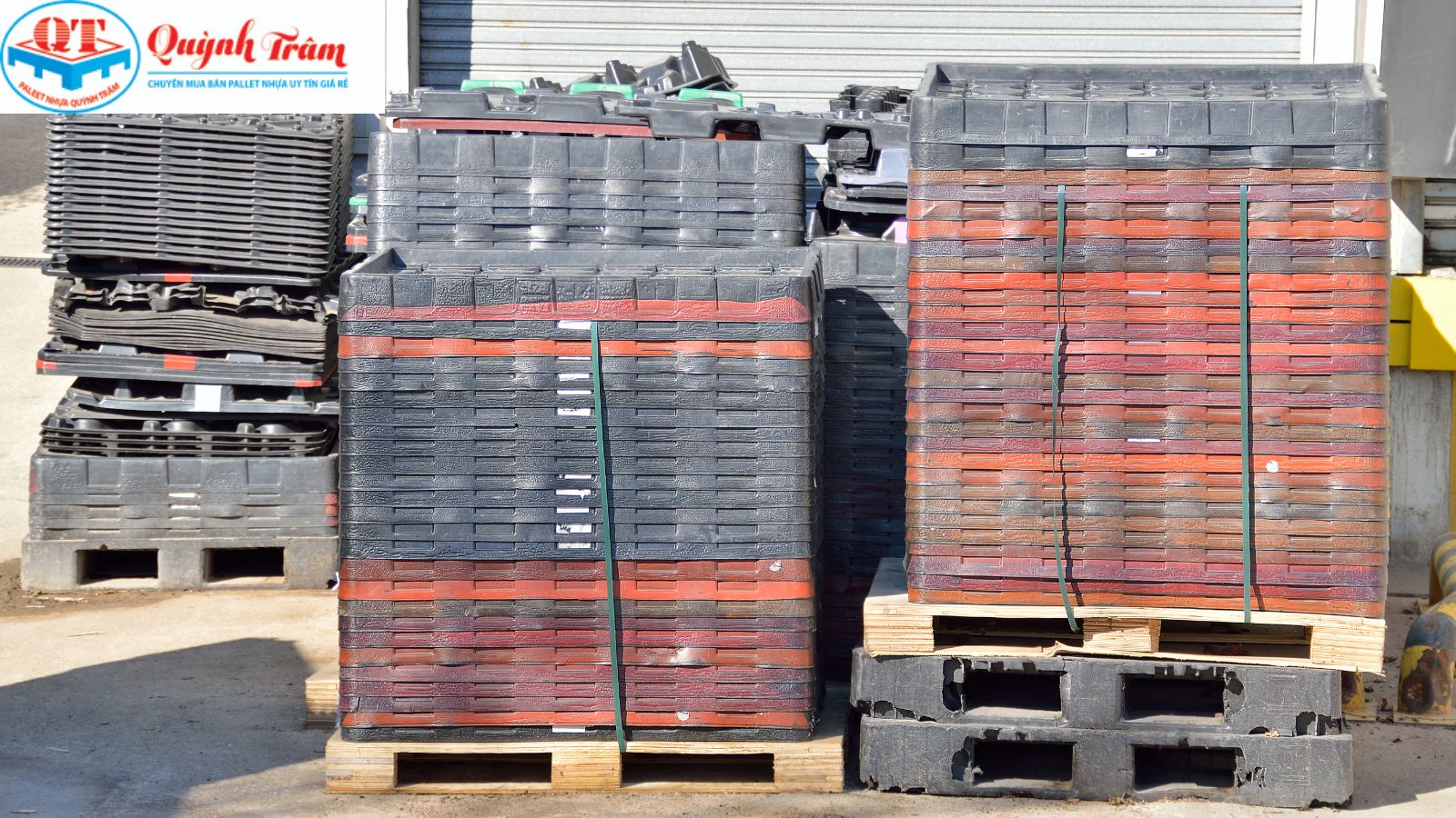 Cách chọn pallet cũ dùng cực bền, không lo bị lỗ