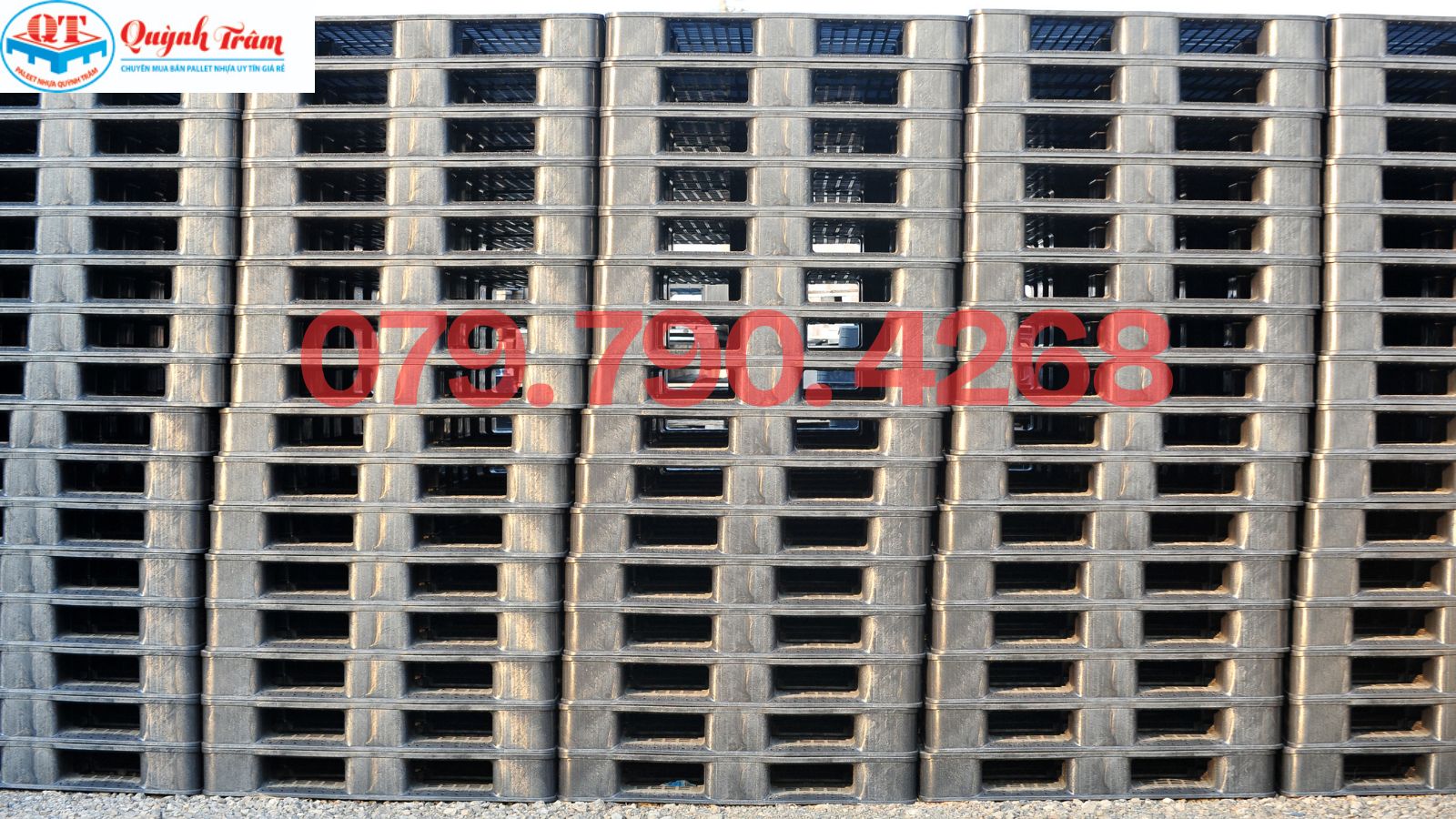 Cách mua pallet nhựa Gia Lai để luôn giữ được giá sỉ lâu dài.
