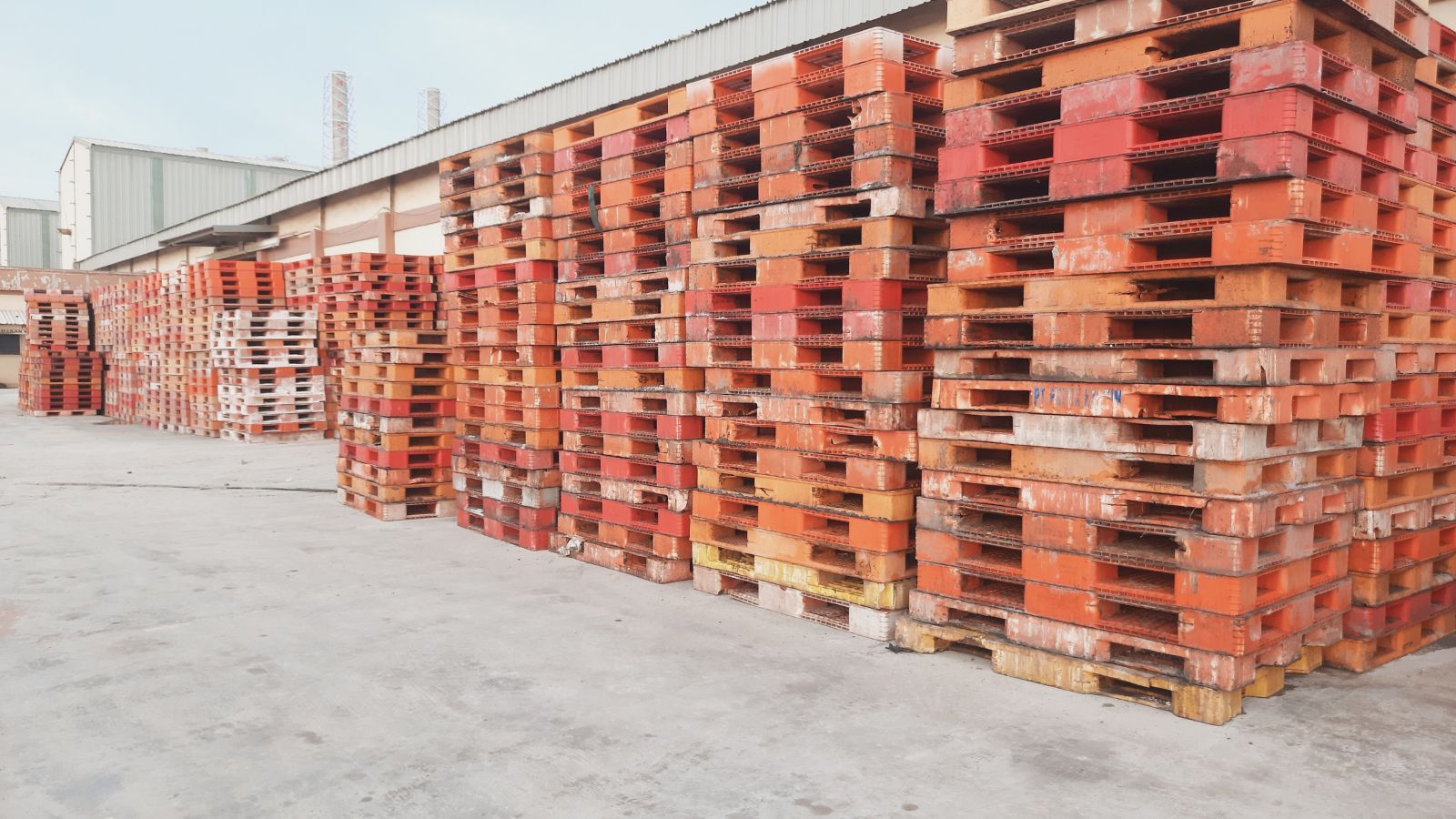 So pallet nhựa cũ Đắk Nông dựa trên độ đồng đều của lô.