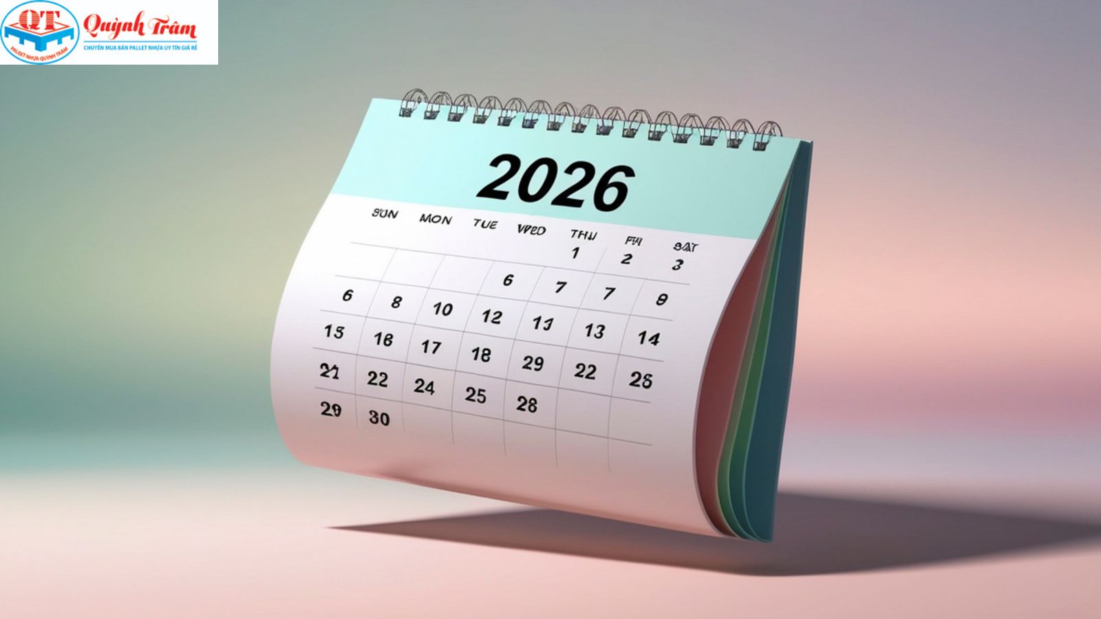 Dự báo giá pallet nhựa năm 2026 có tăng không?