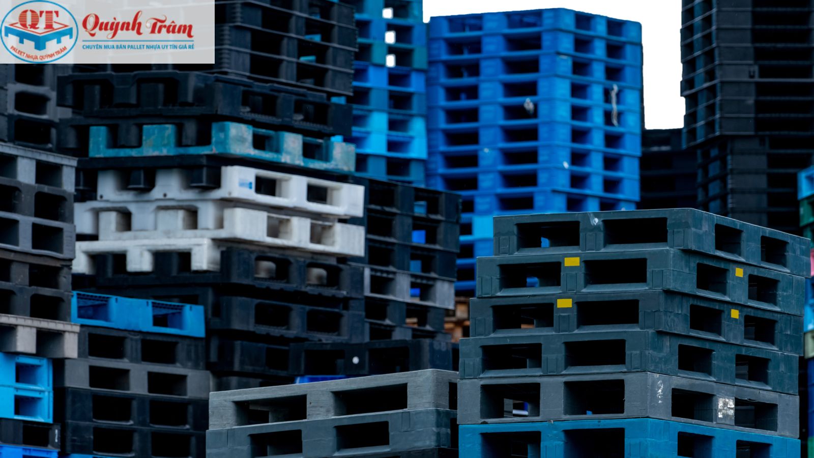 Năng lực kho bãi và sự đa dạng sản phẩm