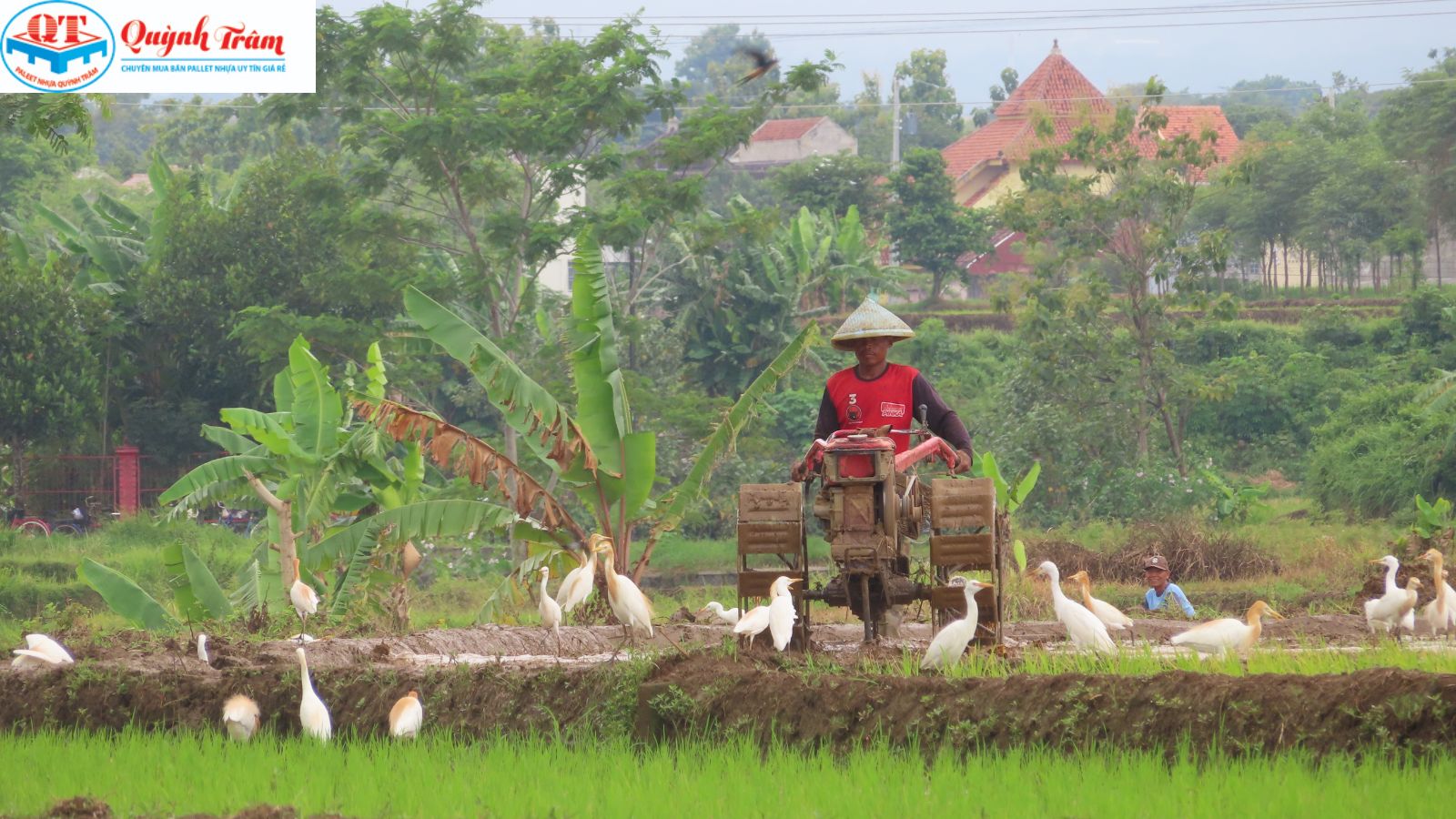 Nguồn cung phụ thuộc và bài toán vận chuyển.