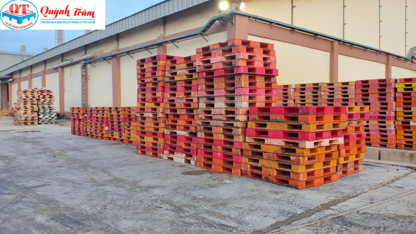 Sàng lọc đầu vào - Nói không với 