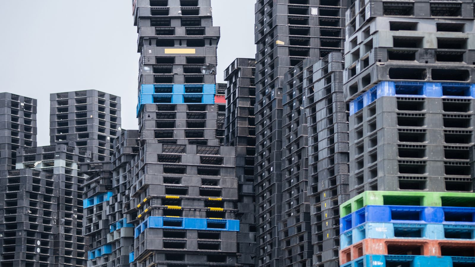 Danh cho dự án ngắn hạn và thời vụ.