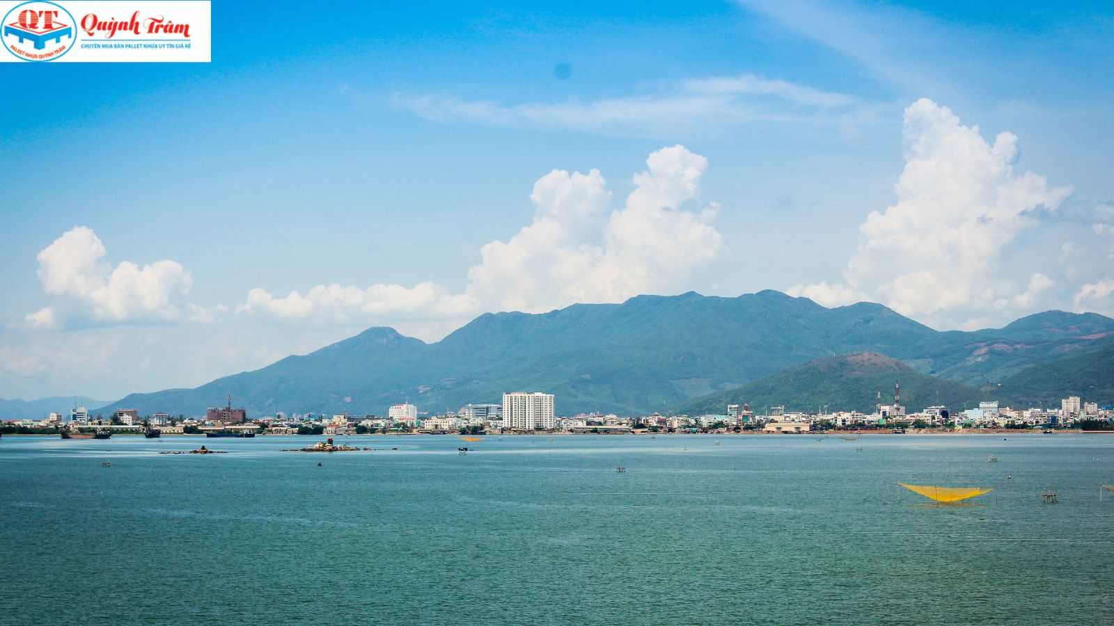 Tại sao Pallet nhựa cũ Bình Định lại rẻ đến thế?