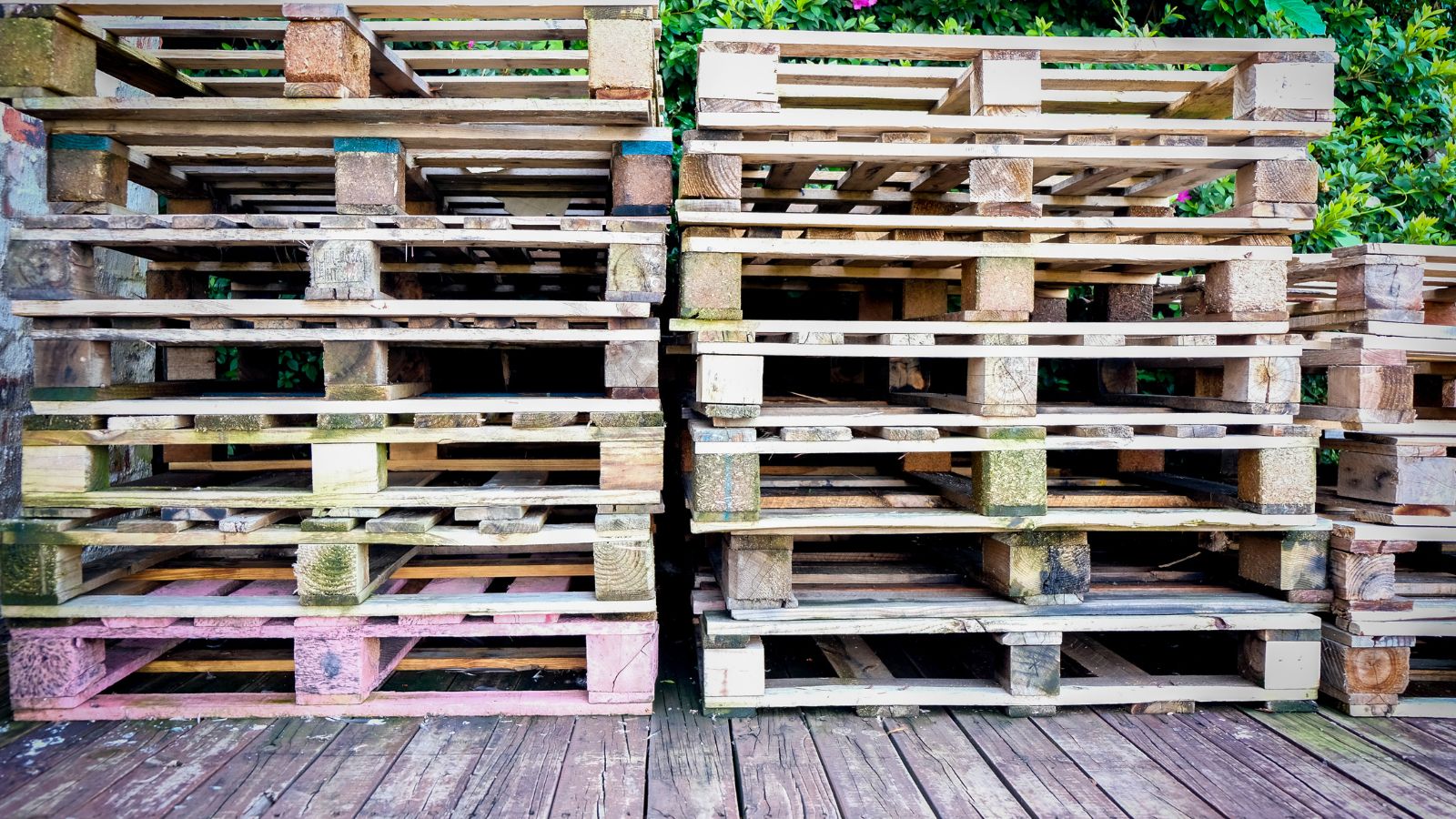 Gỗ hút ẩm rất mạnh.