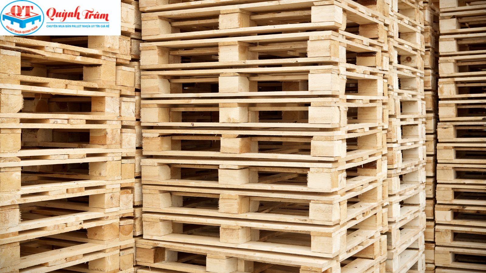 Rủi ro từ Pallet gỗ: 