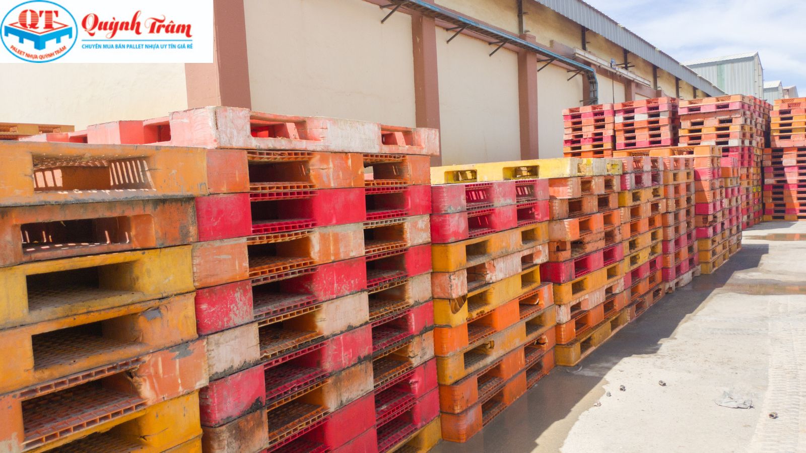 Pallet nhựa cho kho lạnh thủy sản.