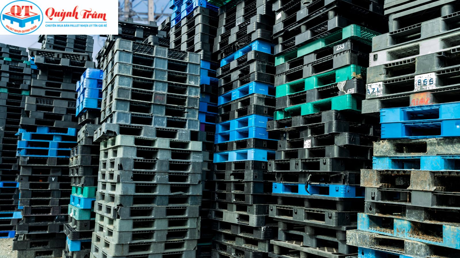 Pallet nhựa giúp tiết kiệm mạnh cho mô hình mùa vụ.