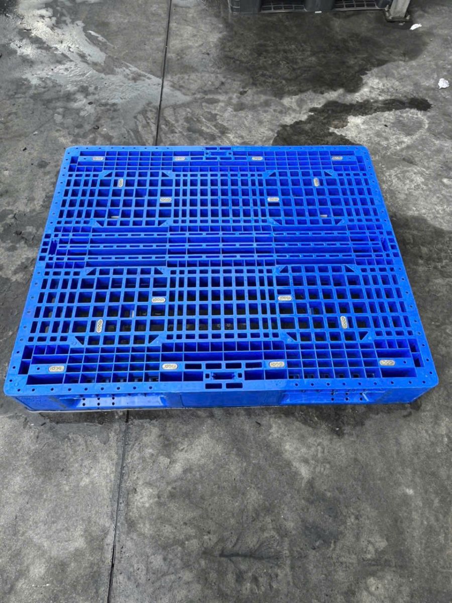 Pallet nhựa Quận 1