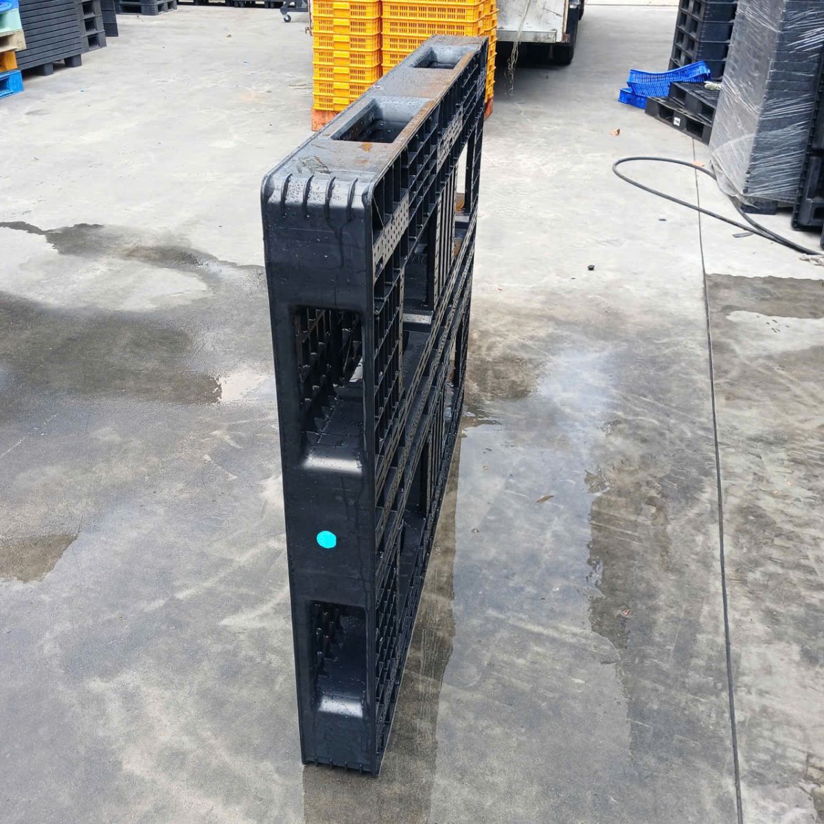 Pallet nhựa quận 3