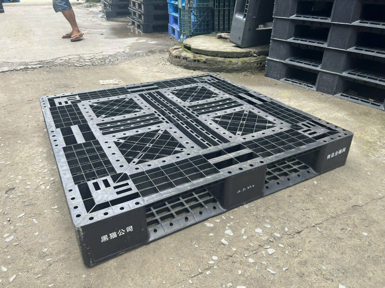 Pallet nhựa quận 3