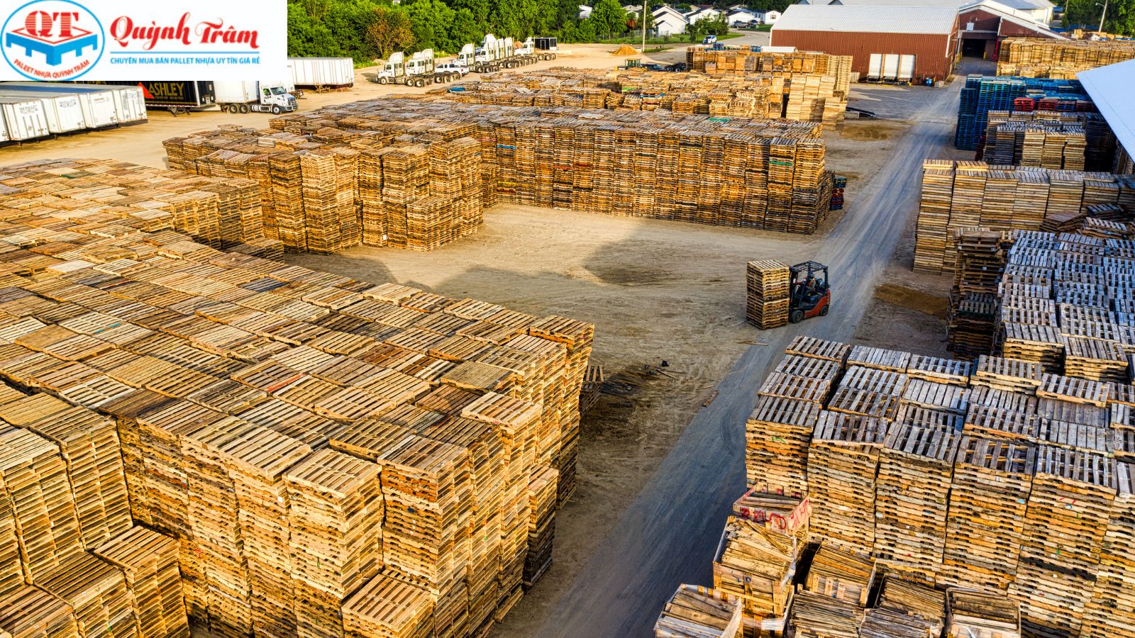 Cam kết đổi trả & Thu mua lại - An tâm tuyệt đối.