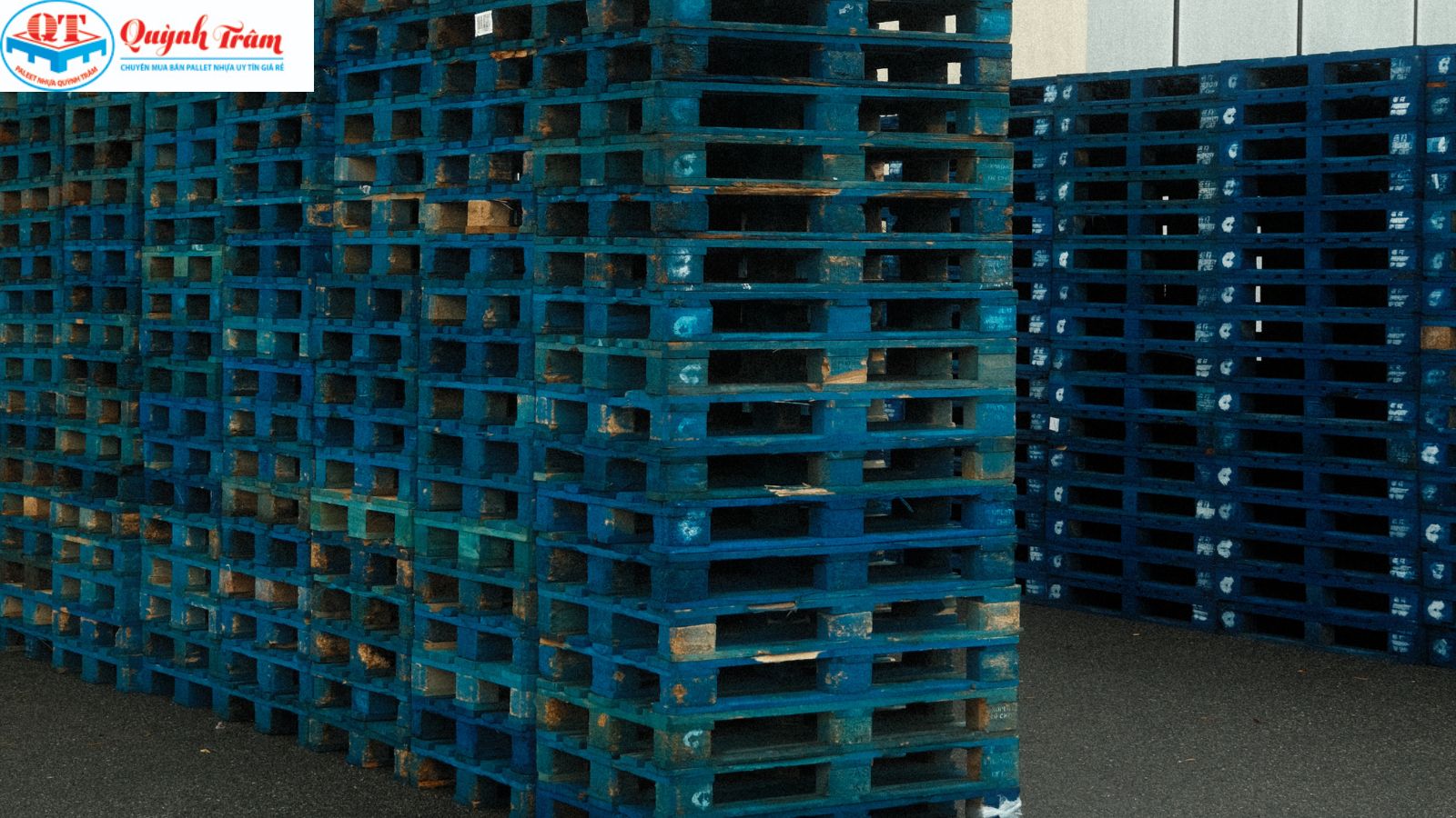 thu mua pallet giá cao