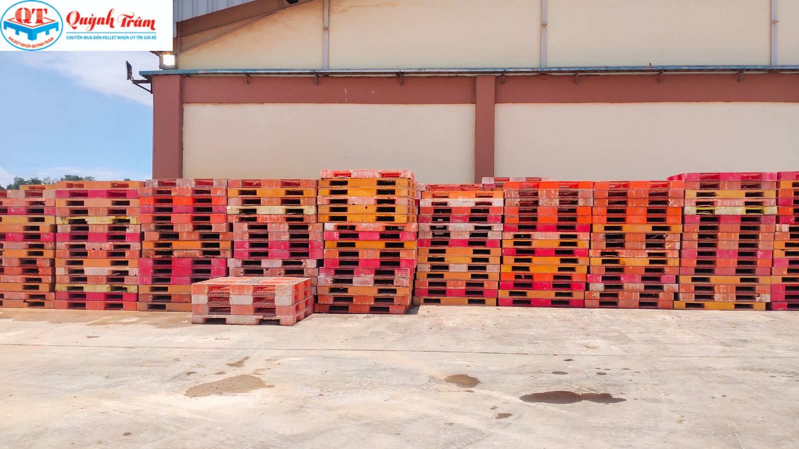 Pallet nhựa Gia Lai – Gợi ý nguồn mua giá sỉ không qua trung gian