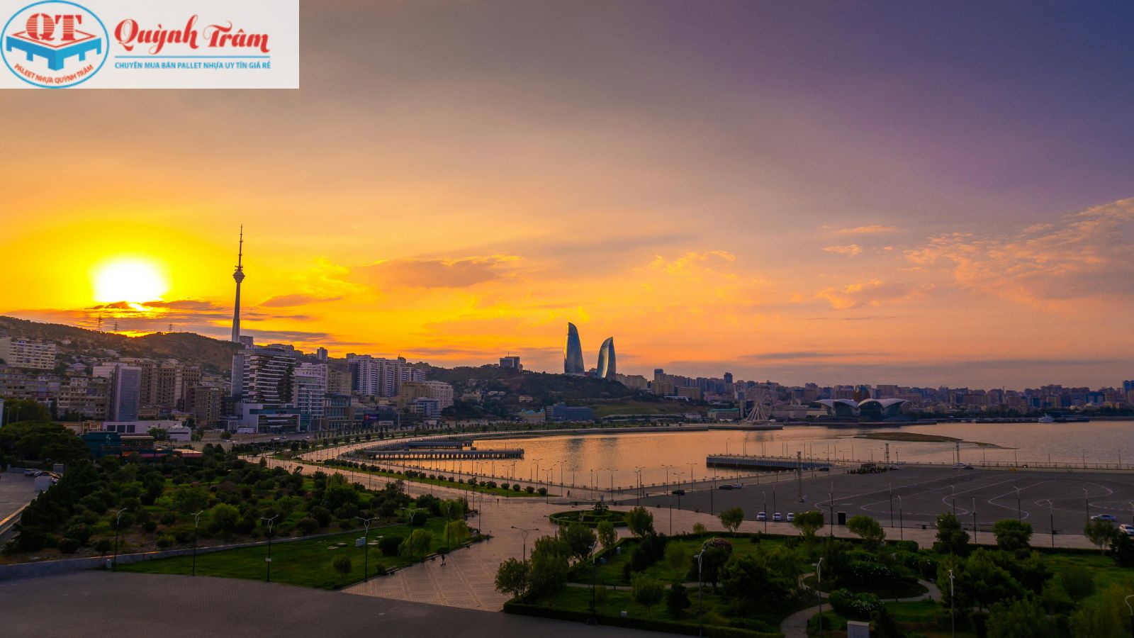 Tại sao nhu cầu sử dụng pallet nhựa Trà Vinh tăng mạnh? 