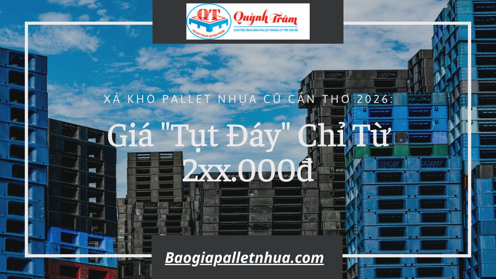 Xả Kho Pallet Nhựa Cũ Cần Thơ 2026: Giá 