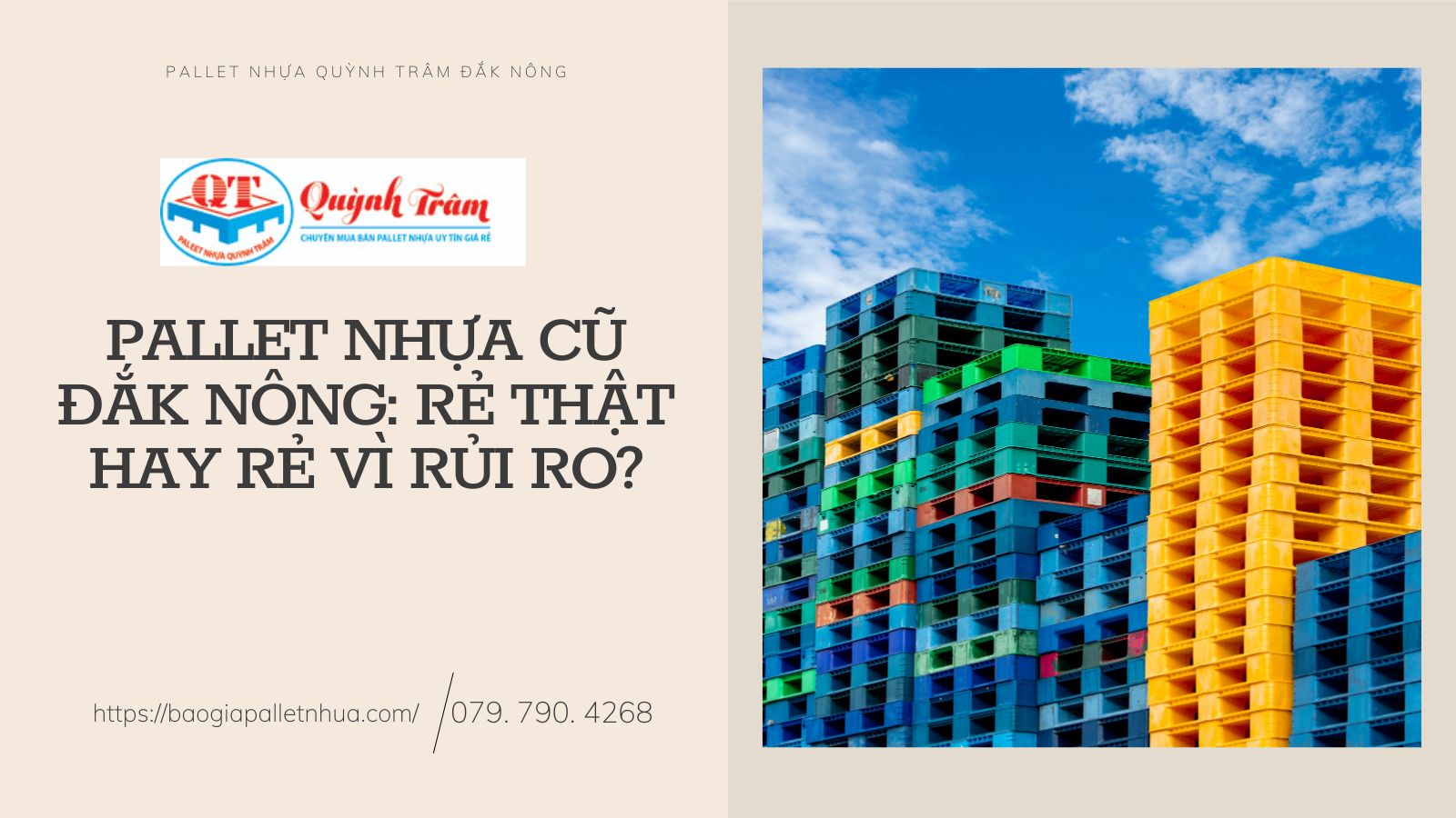 Pallet Nhựa Cũ Đắk Nông: Rẻ Thật Hay Rẻ Vì Rủi Ro?