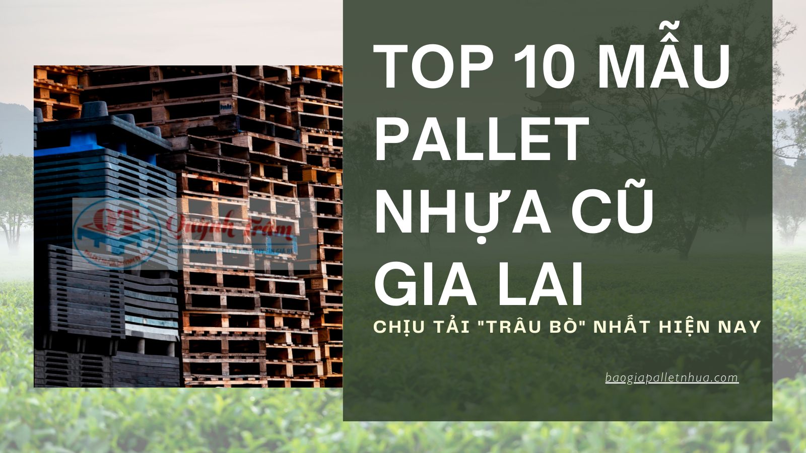 Top 10 Mẫu Pallet Nhựa Cũ Gia Lai Chịu Tải 