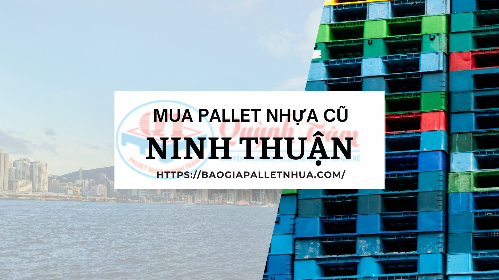 Mua Pallet Nhựa Cũ Ninh Thuận: Đừng Chọn 