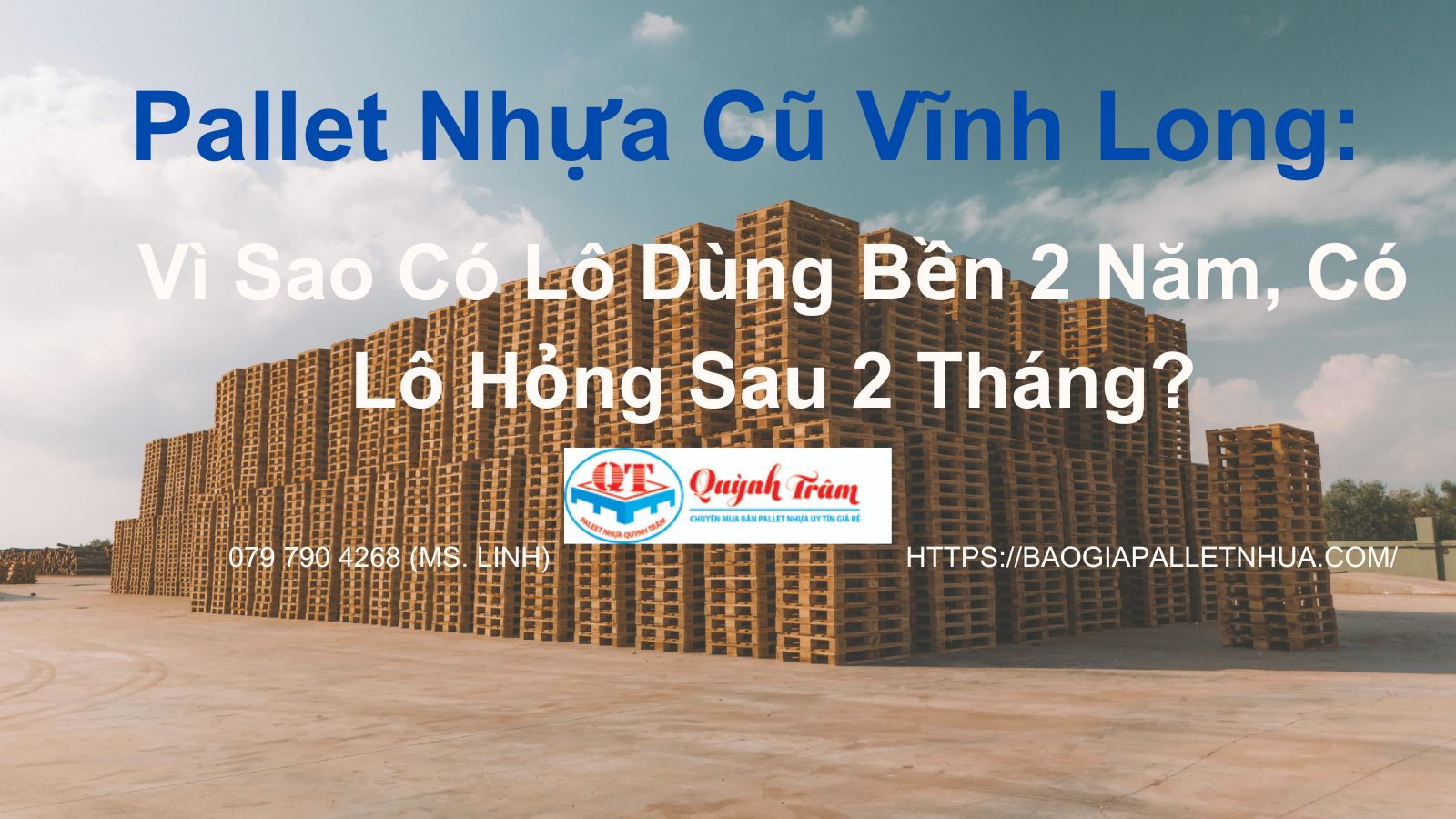 Pallet Nhựa Cũ Vĩnh Long: Vì Sao Có Lô Dùng Bền 2 Năm, Có Lô Hỏng Sau 2 Tháng?