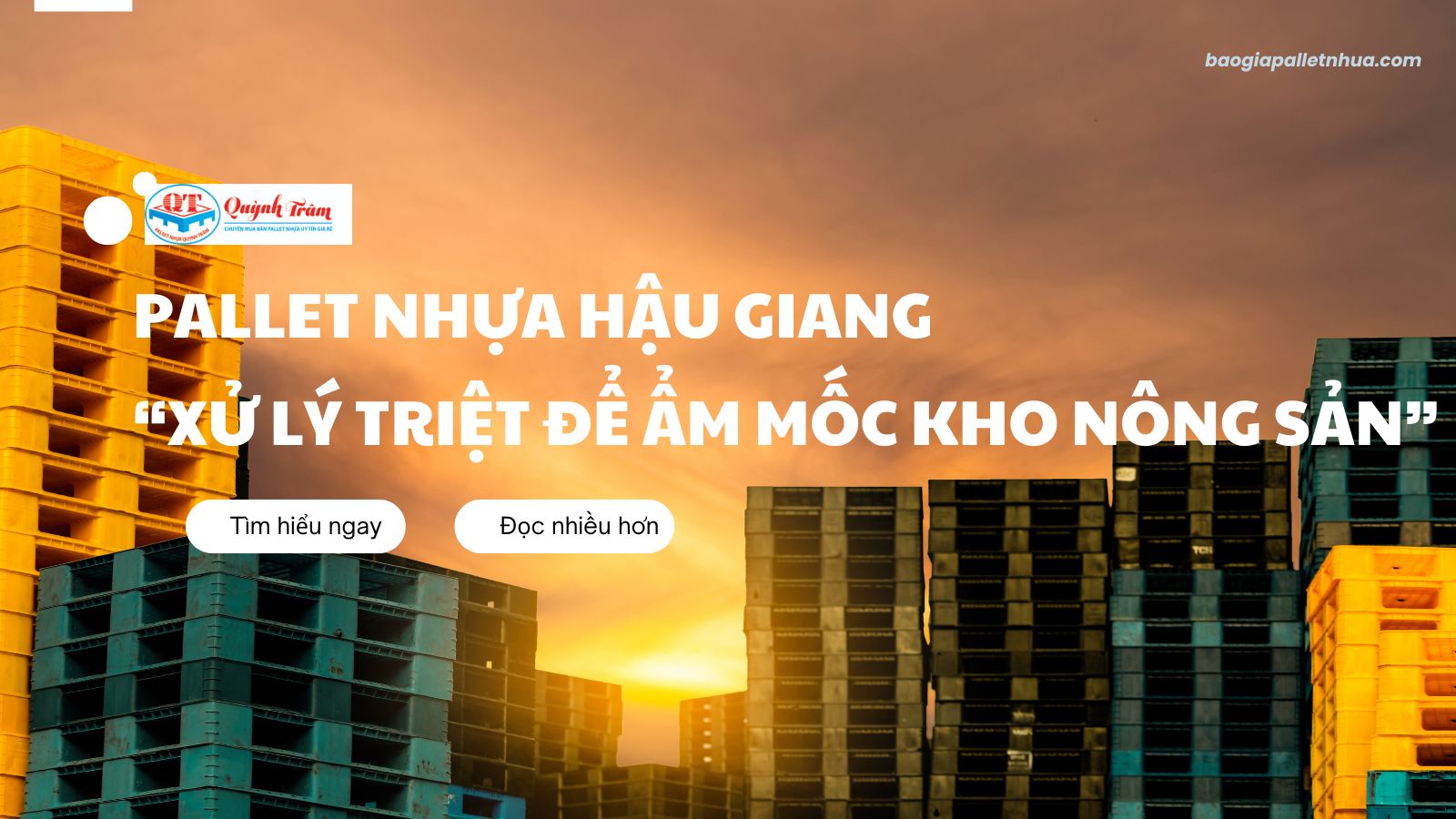 Pallet Nhựa Hậu Giang: Cách 