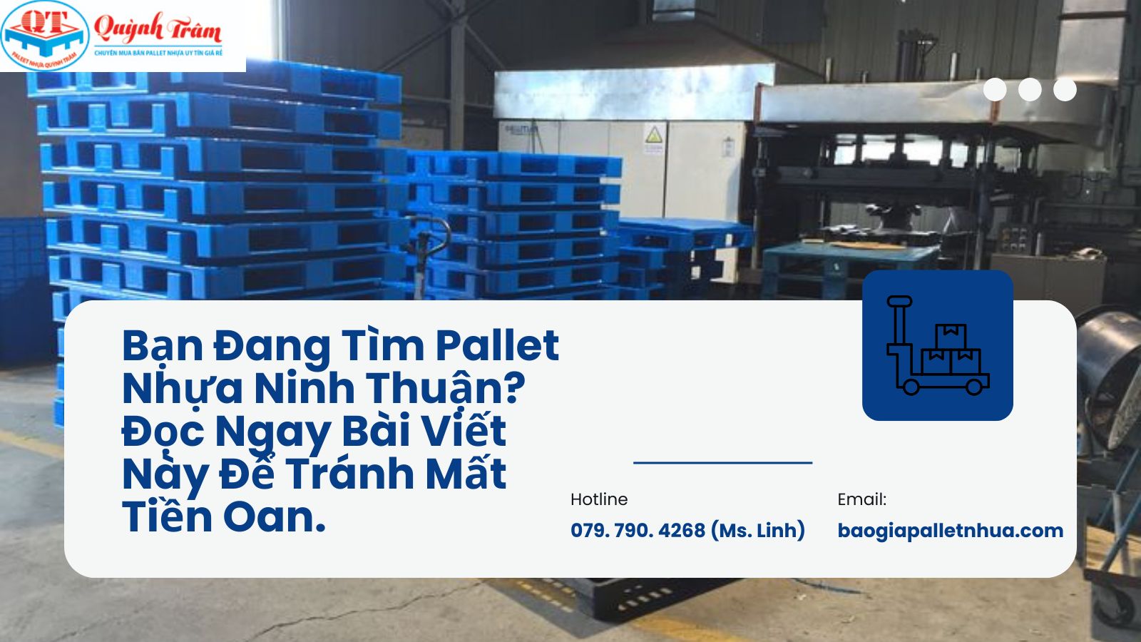 Bạn Đang Tìm Pallet Nhựa Ninh Thuận? Đọc Ngay Bài Viết Này Để Tránh Mất Tiền Oan.