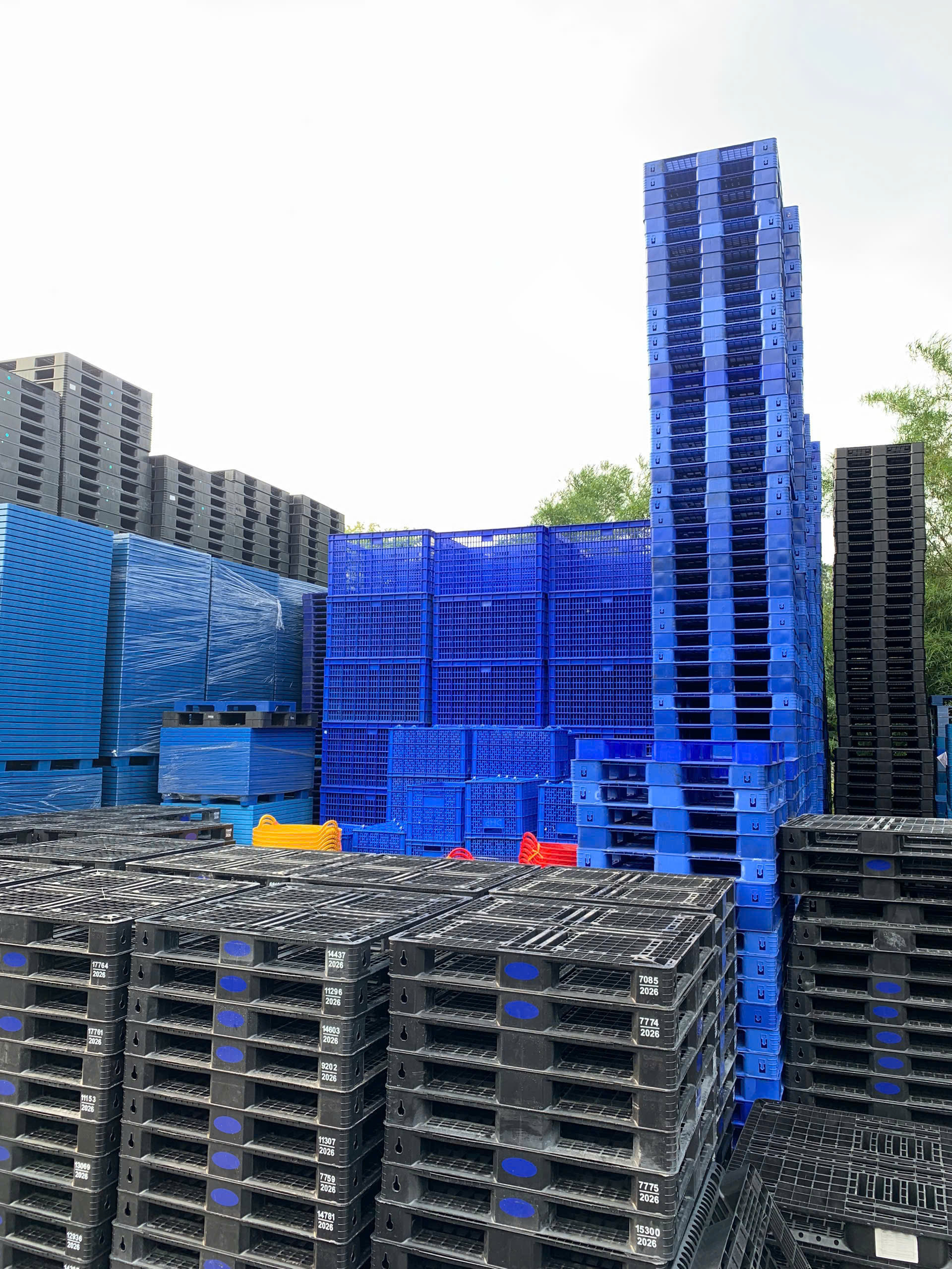 Pallet nhựa quận 2